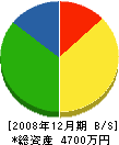 寺阪建設 貸借対照表 2008年12月期
