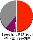 堀田建築 損益計算書 2009年12月期