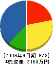 大竹電気工業所 貸借対照表 2009年9月期