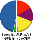 グリーントップ沖縄 貸借対照表 2008年7月期