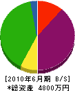 佐藤水道工業 貸借対照表 2010年6月期