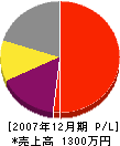 前田塗装店 損益計算書 2007年12月期