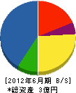 萩原建設 貸借対照表 2012年6月期