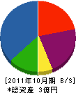 新井土木 貸借対照表 2011年10月期