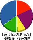 西友土木 貸借対照表 2010年3月期