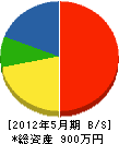 長谷川グリーン 貸借対照表 2012年5月期