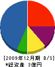木本建設 貸借対照表 2009年12月期