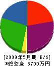 仲島塗装店 貸借対照表 2009年5月期