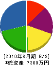 秋山電気商会 貸借対照表 2010年6月期