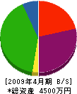 広瀬建設 貸借対照表 2009年4月期