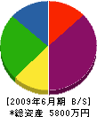 日野サクセン工業所 貸借対照表 2009年6月期
