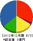 カゴシマ船場 貸借対照表 2012年12月期