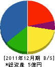 川西 貸借対照表 2011年12月期