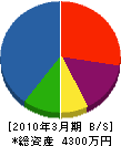 遠藤農園 貸借対照表 2010年3月期