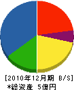 川西 貸借対照表 2010年12月期