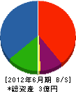 渡辺塗料 貸借対照表 2012年6月期