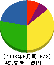岩泉電工 貸借対照表 2008年6月期