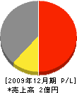 隅田建設 損益計算書 2009年12月期