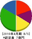 佐野組 貸借対照表 2010年4月期