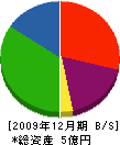 日誠工業 貸借対照表 2009年12月期