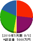 ＊納開発 貸借対照表 2010年5月期