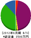 カワムラ 貸借対照表 2012年6月期