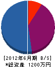 志村組 貸借対照表 2012年6月期