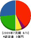 大林建設工業 貸借対照表 2009年7月期