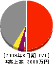 林田緑化 損益計算書 2009年6月期