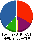 佐藤電気 貸借対照表 2011年6月期