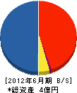 東栄建工 貸借対照表 2012年6月期