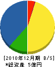 涌井土木 貸借対照表 2010年12月期