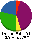王生設備工業 貸借対照表 2010年6月期