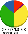 中村工業所 貸借対照表 2010年6月期