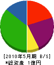 山崎建設 貸借対照表 2010年5月期