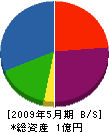 啓城電気 貸借対照表 2009年5月期 啓城電気 貸借対照表 2009年5月期