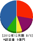 桂建設 貸借対照表 2012年12月期