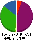 タケハラ工業 貸借対照表 2012年5月期
