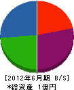 糸川重機 貸借対照表 2012年6月期