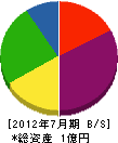 橋本ガラス店 貸借対照表 2012年7月期