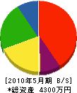 長谷川電気 貸借対照表 2010年5月期