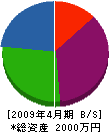 山田電気工務店 貸借対照表 2009年4月期