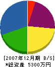 丸田商店 貸借対照表 2007年12月期