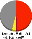 斉竹鉱建 損益計算書 2010年6月期