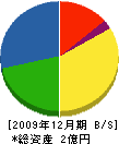 丸成産業 貸借対照表 2009年12月期