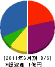 山陽塗装工業 貸借対照表 2011年6月期