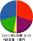 高木電気商会 貸借対照表 2011年6月期