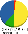 坪田興業 貸借対照表 2009年12月期