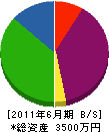 ホシイ電気 貸借対照表 2011年6月期