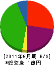 ヒカリ開発 貸借対照表 2011年6月期